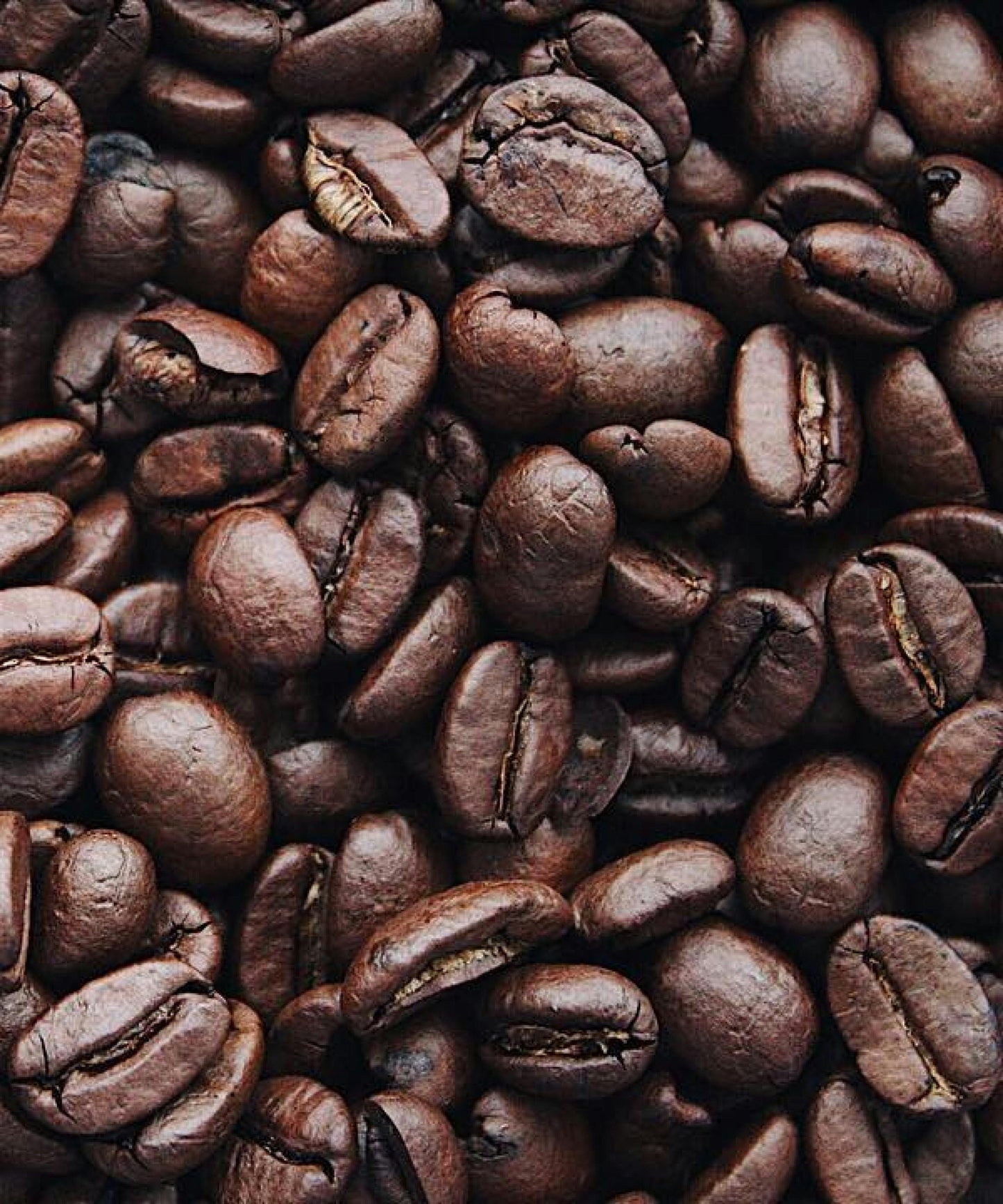 Caffeine Gel Booster